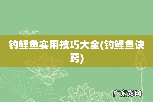 钓鲤鱼诀窍 钓鲤鱼实用技巧大全