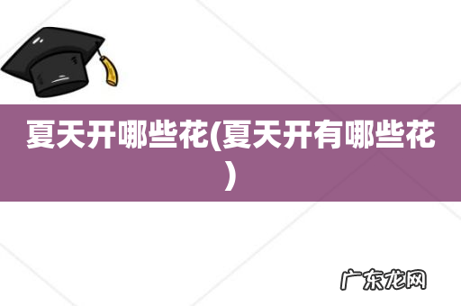 夏天开有哪些花 夏天开哪些花