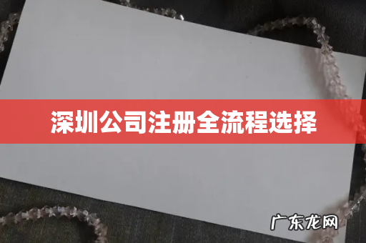 深圳公司注册全流程选择