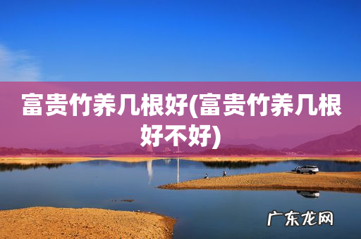 富贵竹养几根好不好 富贵竹养几根好