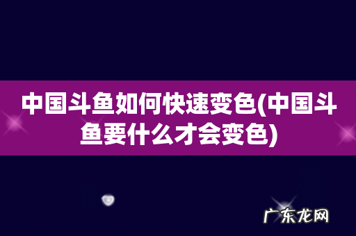 中国斗鱼要什么才会变色 中国斗鱼如何快速变色