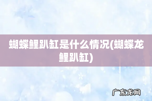 蝴蝶龙鲤趴缸 蝴蝶鲤趴缸是什么情况