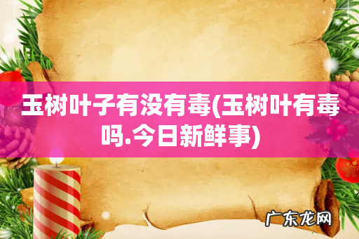 玉树叶有毒吗.今日新鲜事 玉树叶子有没有毒