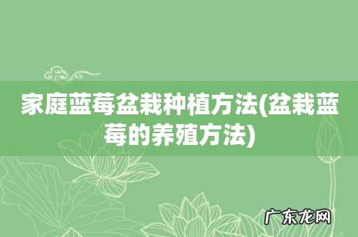 盆栽蓝莓的养殖方法 家庭蓝莓盆栽种植方法
