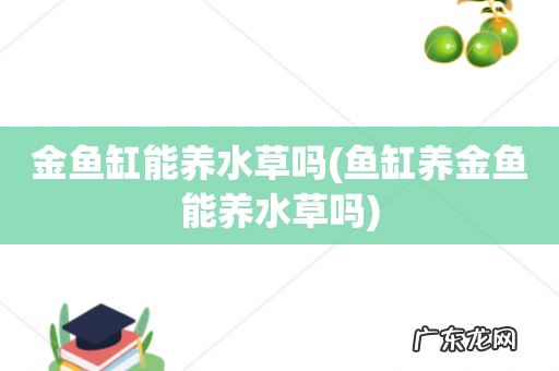鱼缸养金鱼能养水草吗 金鱼缸能养水草吗