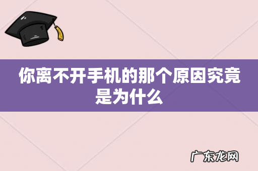 你离不开手机的那个原因究竟是为什么