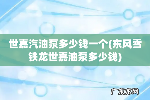 东风雪铁龙世嘉油泵多少钱 世嘉汽油泵多少钱一个