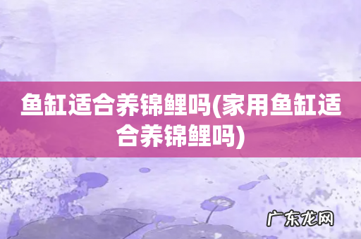家用鱼缸适合养锦鲤吗 鱼缸适合养锦鲤吗