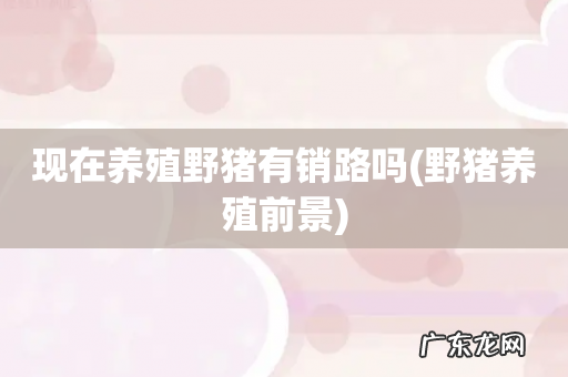 野猪养殖前景 现在养殖野猪有销路吗