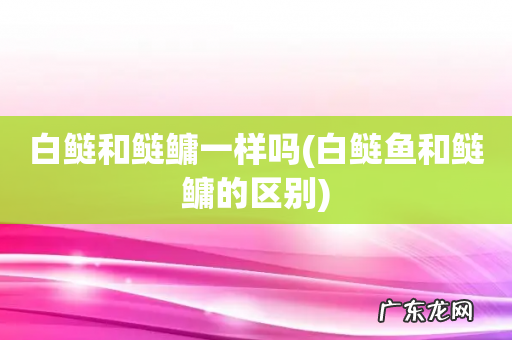 白鲢鱼和鲢鳙的区别 白鲢和鲢鳙一样吗