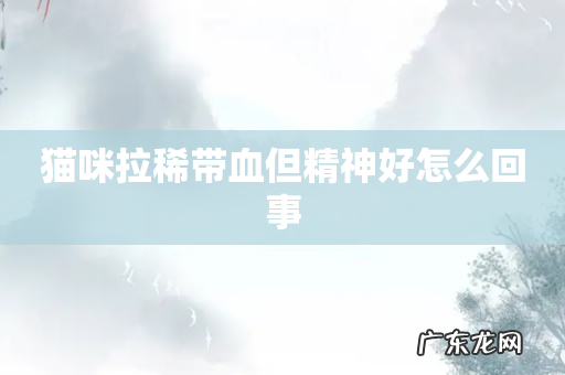 猫咪拉稀带血但精神好怎么回事