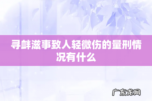 寻衅滋事致人轻微伤的量刑情况有什么