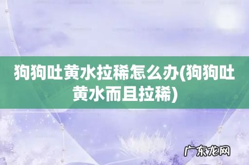 狗狗吐黄水而且拉稀 狗狗吐黄水拉稀怎么办