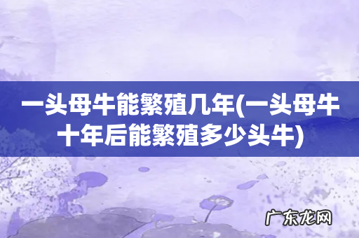 一头母牛十年后能繁殖多少头牛 一头母牛能繁殖几年