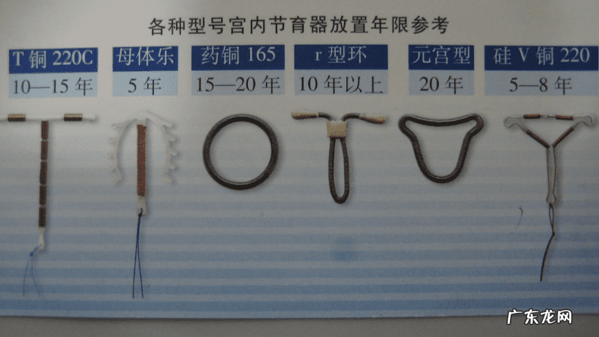 节育环图片 绝育环的作用原理