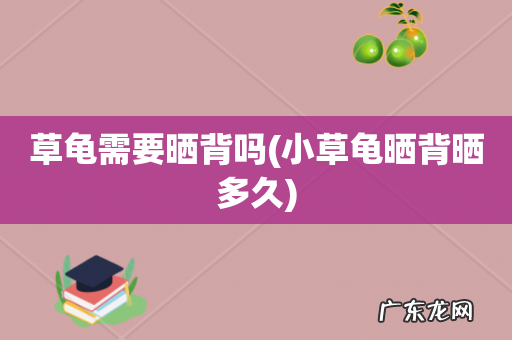 小草龟晒背晒多久 草龟需要晒背吗
