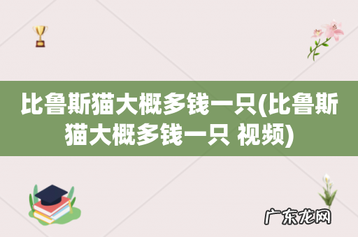 比鲁斯猫大概多钱一只 视频 比鲁斯猫大概多钱一只