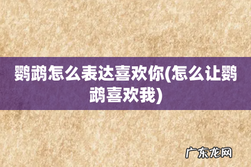 怎么让鹦鹉喜欢我 鹦鹉怎么表达喜欢你