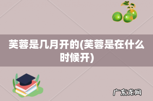 芙蓉是在什么时候开 芙蓉是几月开的