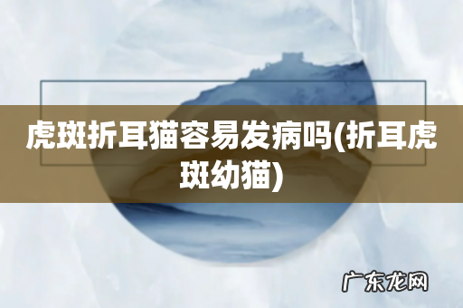 折耳虎斑幼猫 虎斑折耳猫容易发病吗