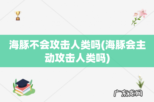 海豚会主动攻击人类吗 海豚不会攻击人类吗