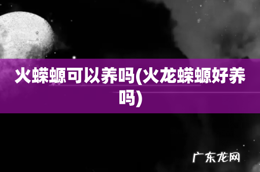 火龙蝾螈好养吗 火蝾螈可以养吗