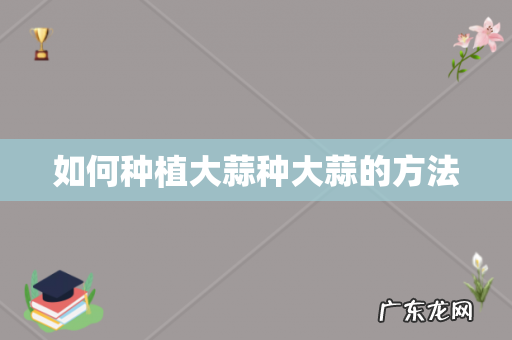 如何种植大蒜种大蒜的方法