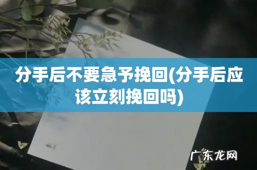 分手后应该立刻挽回吗 分手后不要急予挽回