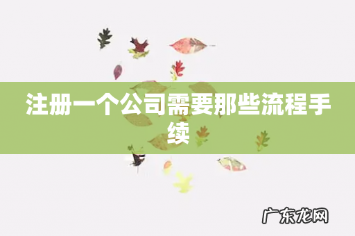 注册一个公司需要那些流程手续