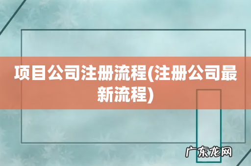 注册公司最新流程 项目公司注册流程