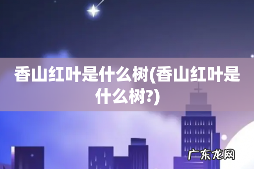 香山红叶是什么树? 香山红叶是什么树