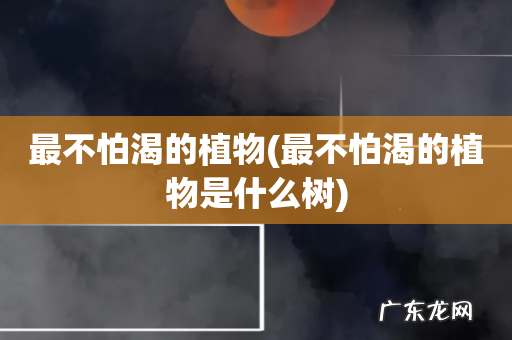 最不怕渴的植物是什么树 最不怕渴的植物