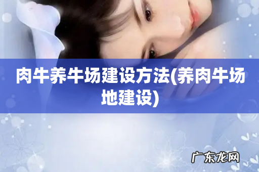 养肉牛场地建设 肉牛养牛场建设方法