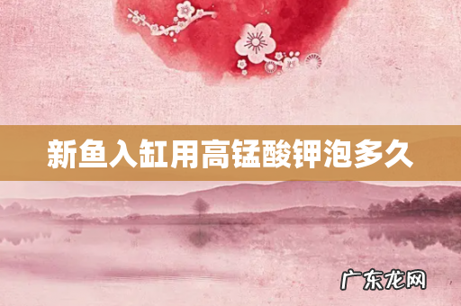 新鱼入缸用高锰酸钾泡多久