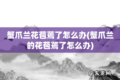 蟹爪兰的花苞蔫了怎么办 蟹爪兰花苞蔫了怎么办