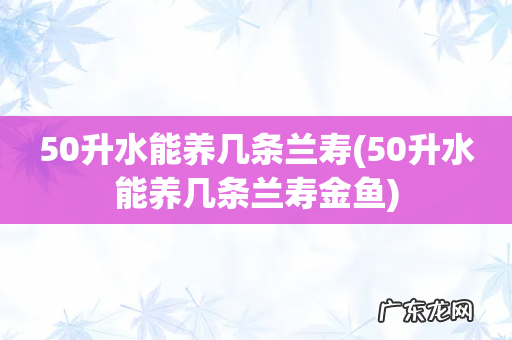 50升水能养几条兰寿金鱼 50升水能养几条兰寿