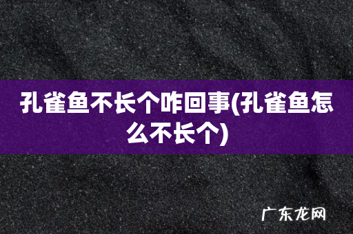 孔雀鱼怎么不长个 孔雀鱼不长个咋回事