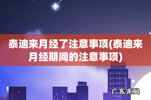 泰迪来月经期间的注意事项 泰迪来月经了注意事项