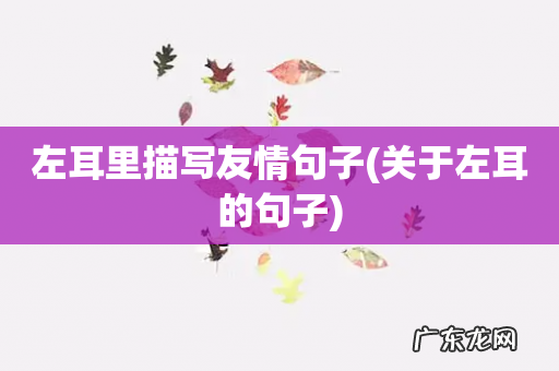 关于左耳的句子 左耳里描写友情句子