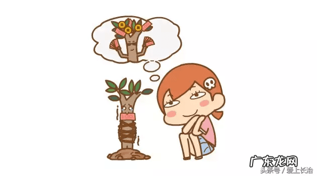 招聘风水策划顾问 招聘风水顾问