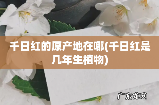 千日红是几年生植物 千日红的原产地在哪