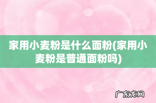 家用小麦粉是普通面粉吗 家用小麦粉是什么面粉