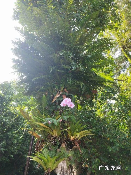 宣传委员 竞选稿 竞选宣传委员演讲稿300字