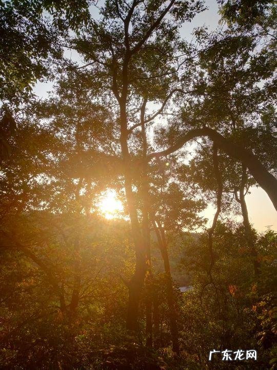 宣传委员 竞选稿 竞选宣传委员演讲稿300字