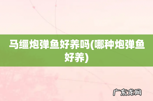 哪种炮弹鱼好养 马缰炮弹鱼好养吗