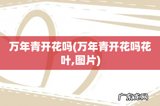 万年青开花吗花叶,图片 万年青开花吗