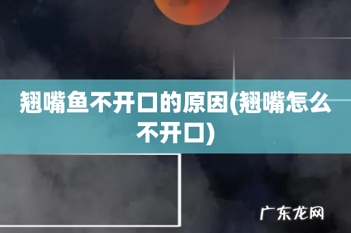 翘嘴怎么不开口 翘嘴鱼不开口的原因