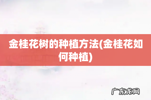 金桂花如何种植 金桂花树的种植方法