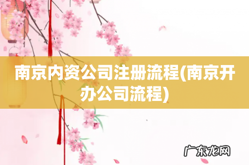 南京开办公司流程 南京内资公司注册流程