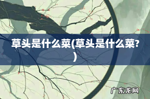 草头是什么菜? 草头是什么菜